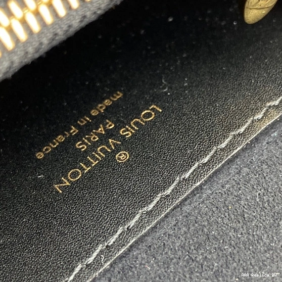 AAA Pruses Bags DAUPHINE LOUIS VUITTON BB BUMBAG 0822